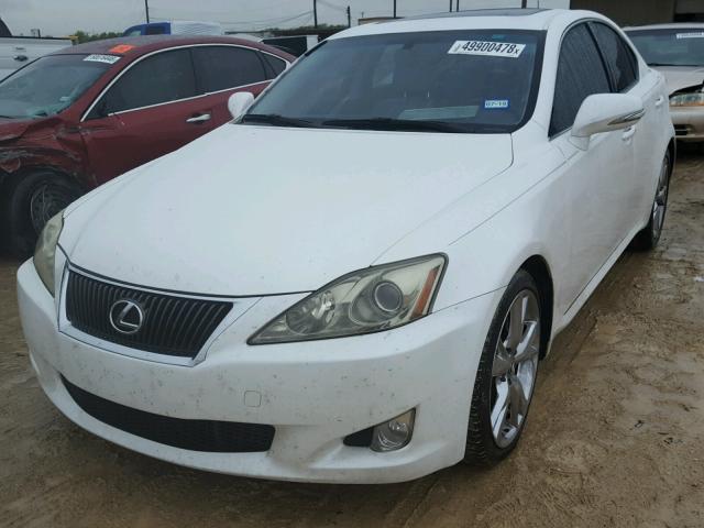 JTHBF5C23A2095062 - 2010 LEXUS IS 250 WHITE photo 2