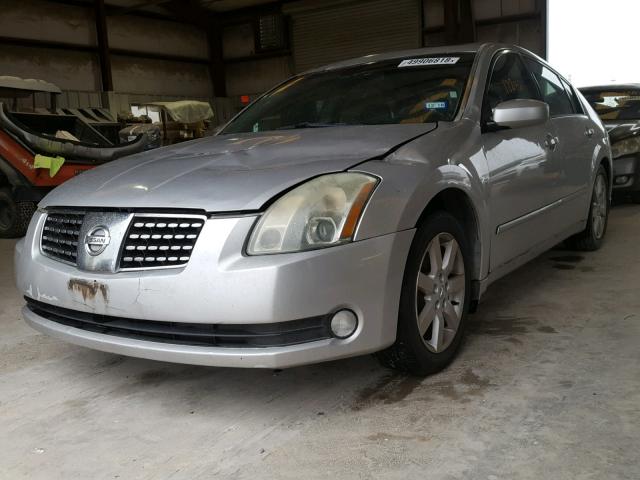 1N4BA41E16C831558 - 2006 NISSAN MAXIMA SE SILVER photo 2