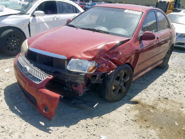 KNAFE221995023920 - 2009 KIA SPECTRA EX RED photo 2