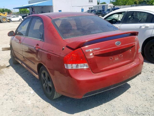 KNAFE221995023920 - 2009 KIA SPECTRA EX RED photo 3