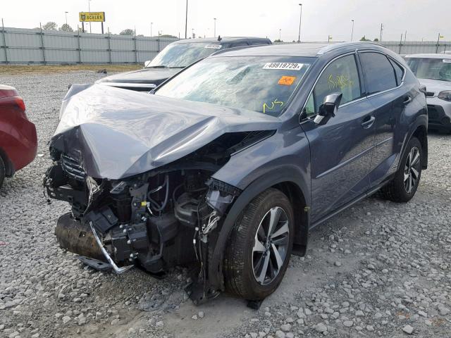 JTJBARBZ6J2156939 - 2018 LEXUS NX 300 GRAY photo 2