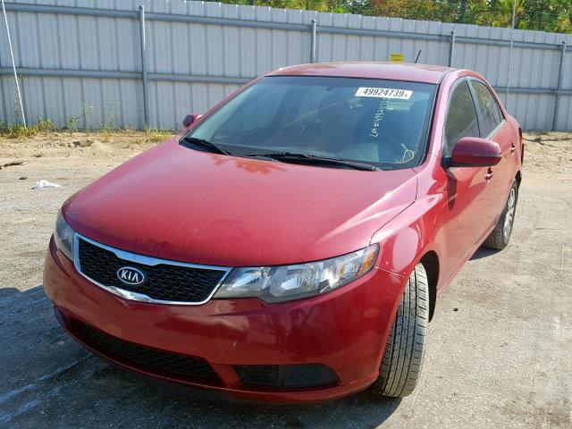 KNAFU4A24D5655189 - 2013 KIA FORTE EX RED photo 2