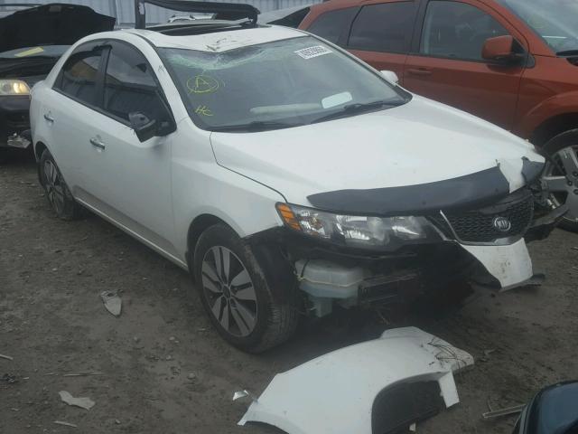 KNAFU4A2XD5691498 - 2013 KIA FORTE EX WHITE photo 1