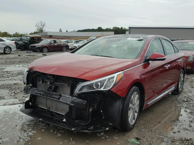 5NPE34AF7GH421556 - 2016 HYUNDAI SONATA SPO RED photo 2