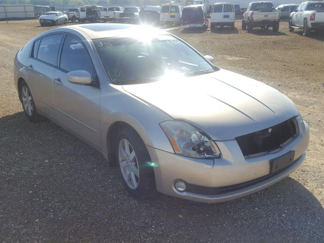 1N4BA41E85C808180 - 2005 NISSAN MAXIMA SE GOLD photo 1