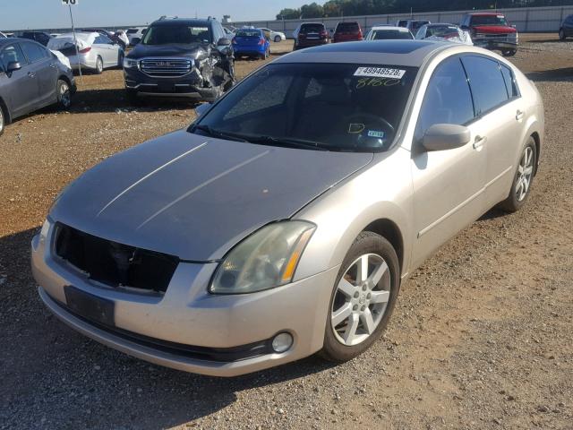 1N4BA41E85C808180 - 2005 NISSAN MAXIMA SE GOLD photo 2