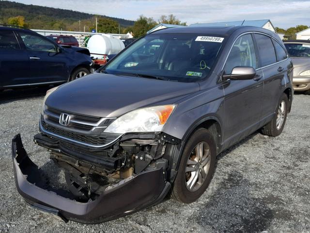 5J6RE4H71AL033942 - 2010 HONDA CR-V EXL GRAY photo 2