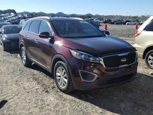 5XYPGDA58GG174379 - 2016 KIA SORENTO LX BURGUNDY photo 1