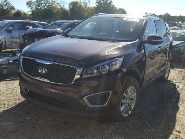 5XYPGDA58GG174379 - 2016 KIA SORENTO LX BURGUNDY photo 2