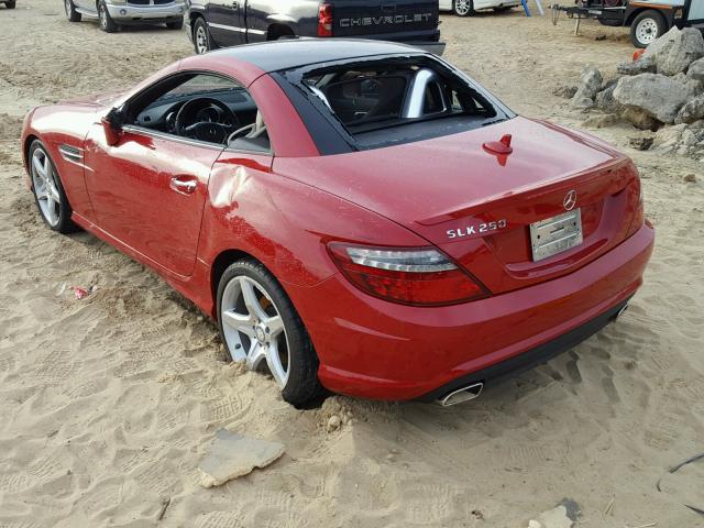 WDDPK4HA1DF052078 - 2013 MERCEDES-BENZ SLK 250 RED photo 3