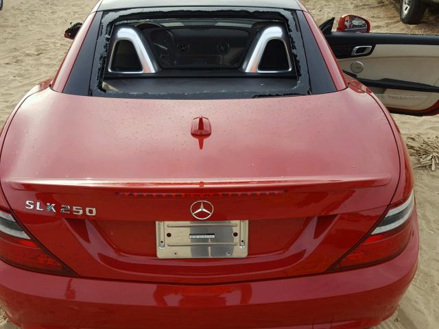 WDDPK4HA1DF052078 - 2013 MERCEDES-BENZ SLK 250 RED photo 6