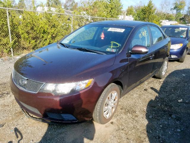 KNAFU4A27A5282595 - 2010 KIA FORTE EX MAROON photo 2