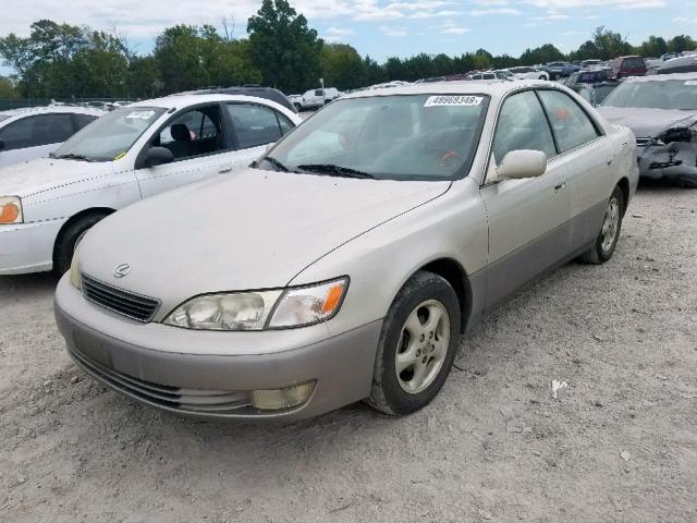 JT8BF22G7V0023441 - 1997 LEXUS ES 300 GOLD photo 2