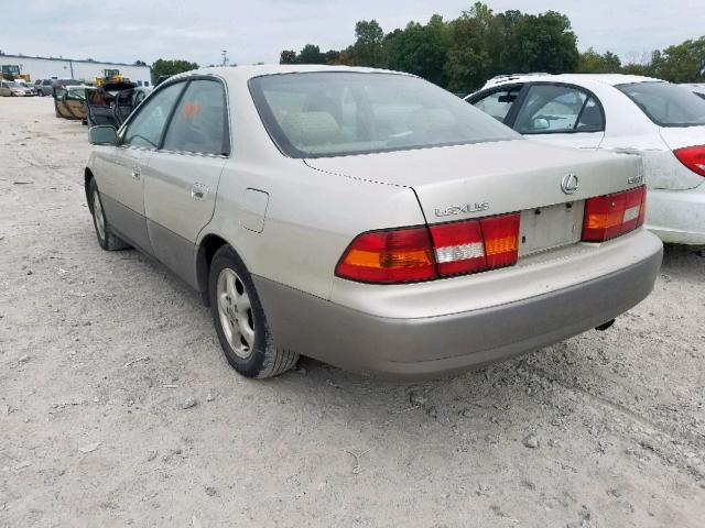 JT8BF22G7V0023441 - 1997 LEXUS ES 300 GOLD photo 3