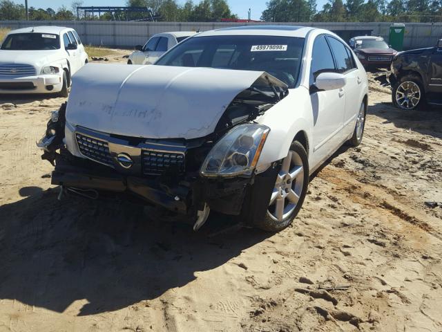 1N4BA41E66C851577 - 2006 NISSAN MAXIMA SE WHITE photo 2