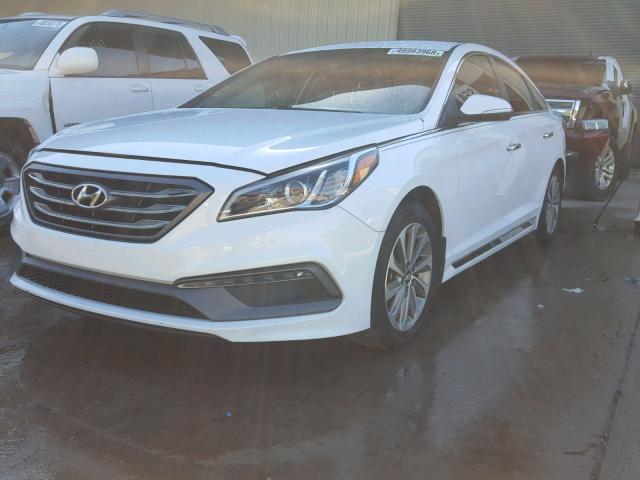 5NPE34AFXFH233144 - 2015 HYUNDAI SONATA SPO WHITE photo 2