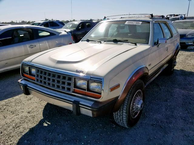 2CCCK3852GB704951 - 1986 AMERICAN MOTORS EAGLE TAN photo 2