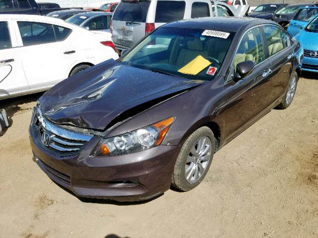 1HGCP3F84CA026723 - 2012 HONDA ACCORD EXL BROWN photo 2