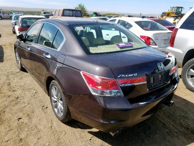 1HGCP3F84CA026723 - 2012 HONDA ACCORD EXL BROWN photo 3