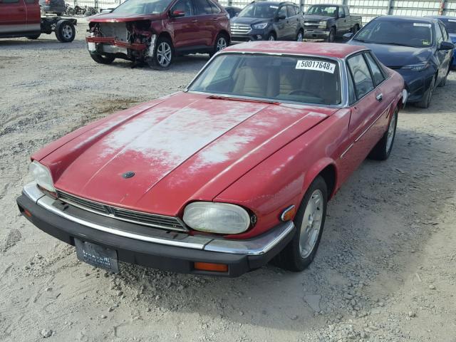 SAJNY584XKC162000 - 1989 JAGUAR XJS RED photo 2