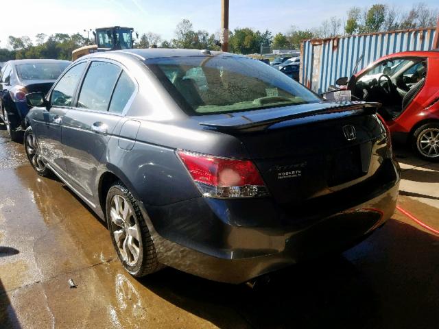 5KBCP3F82AB003140 - 2010 HONDA ACCORD EXL GRAY photo 3