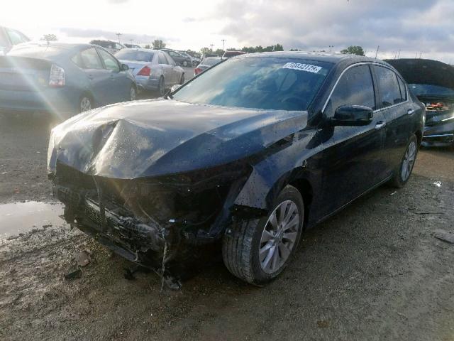 1HGCR2F87DA275605 - 2013 HONDA ACCORD EXL BLACK photo 2