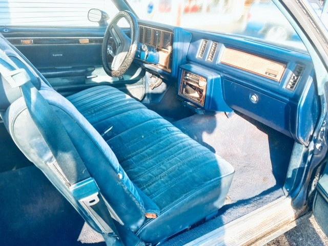 4M47A9H197590 - 1979 BUICK REGAL BLUE photo 5