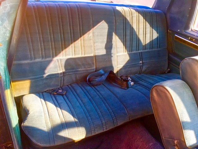 4M47A9H197590 - 1979 BUICK REGAL BLUE photo 6