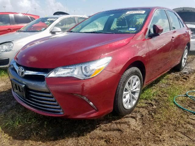 4T1BF1FK7GU558903 - 2016 TOYOTA CAMRY LE RED photo 2