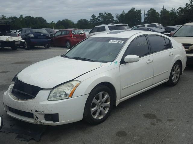 1N4BA41E08C823650 - 2008 NISSAN MAXIMA SE WHITE photo 2