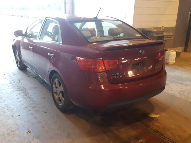 KNAFU4A24A5259758 - 2010 KIA FORTE EX BURGUNDY photo 3