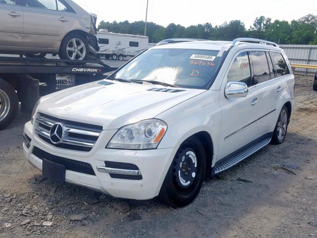 4JGBF7BE5AA569636 - 2010 MERCEDES-BENZ GL 450 4MA WHITE photo 2