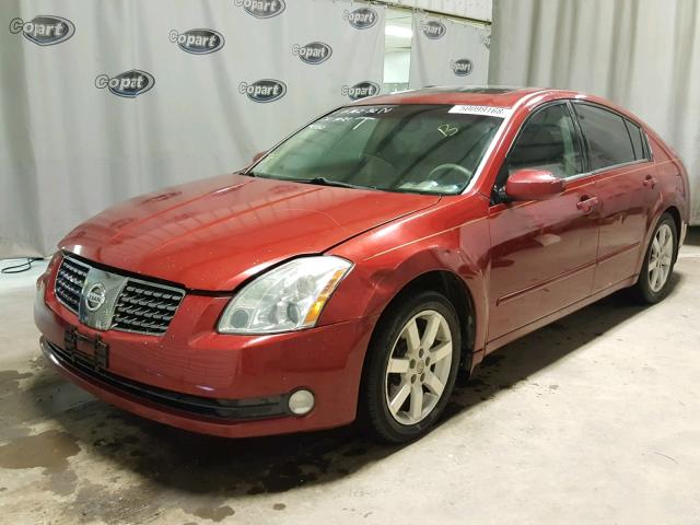 1N4BA41E14C903954 - 2004 NISSAN MAXIMA SE RED photo 2