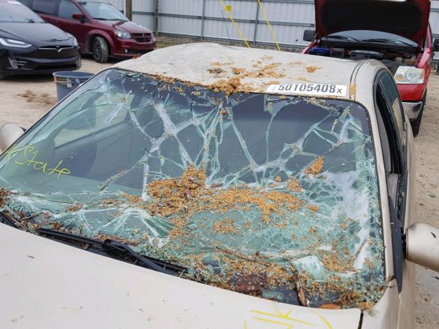 1G1NE52J73M534161 - 2003 CHEVROLET MALIBU LS 米色 照片 9