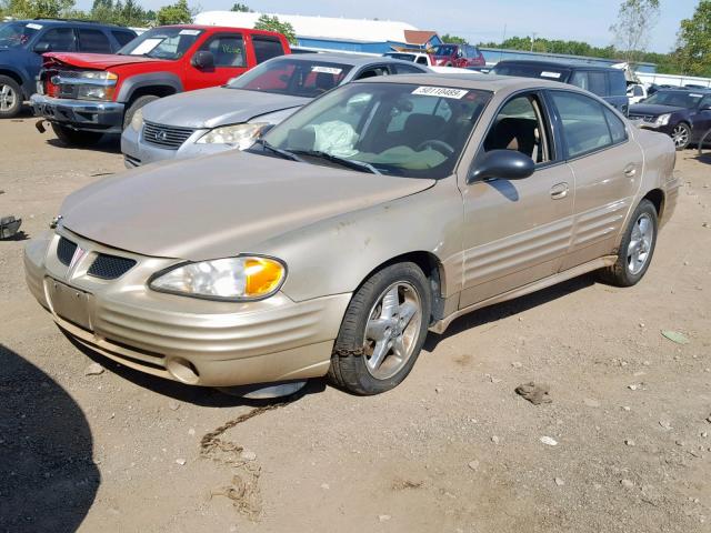 1G2NF52F62C303115 - 2002 PONTIAC GRAND AM S GOLD photo 2