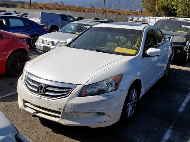 1HGCP3F85CA009476 - 2012 HONDA ACCORD EXL WHITE photo 2