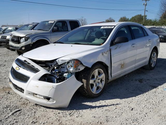 1G1ZA5EU3CF306973 - 2012 CHEVROLET MALIBU LS 白色 照片 2