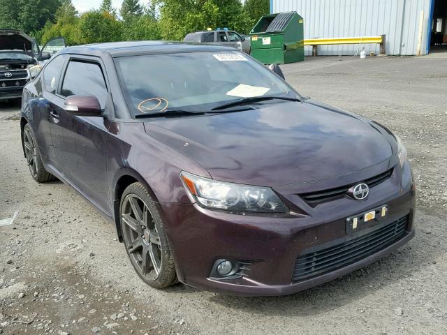 JTKJF5C7XB3010425 - 2011 TOYOTA SCION TC იასამნისფერი ფოტო 1