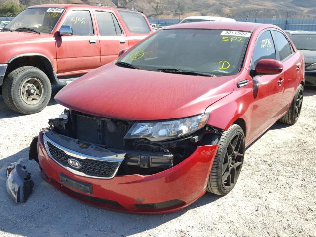 KNAFU4A29D5664230 - 2013 KIA FORTE EX RED photo 2