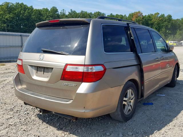 5FNRL38775B082142 - 2005 HONDA ODYSSEY EX GOLD photo 4