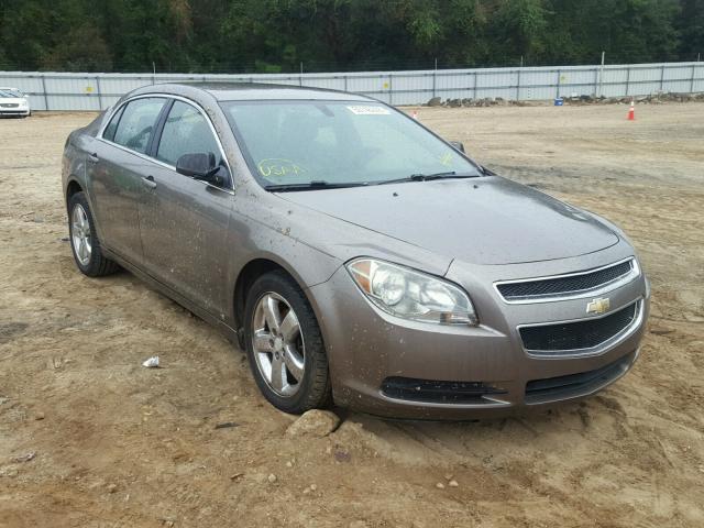 1G1ZA5E06AF105532 - 2010 CHEVROLET MALIBU LS ყავისფერი ფოტო 1