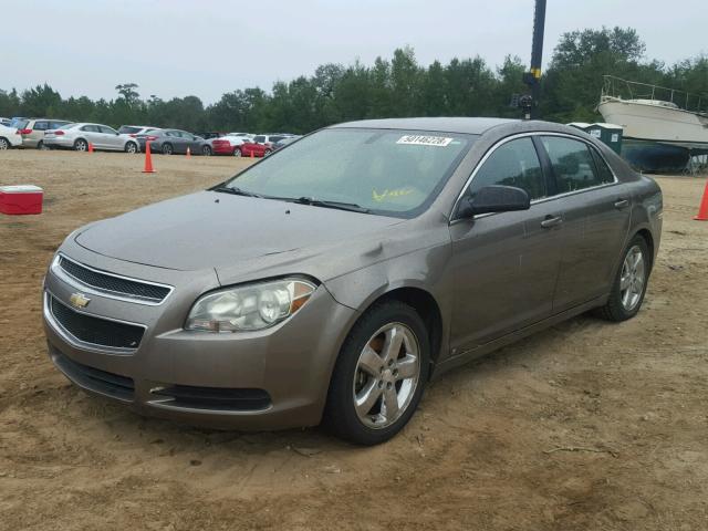 1G1ZA5E06AF105532 - 2010 CHEVROLET MALIBU LS ყავისფერი ფოტო 2