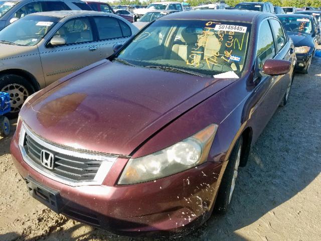 JHMCP26878C027058 - 2008 HONDA ACCORD EXL BURGUNDY photo 2