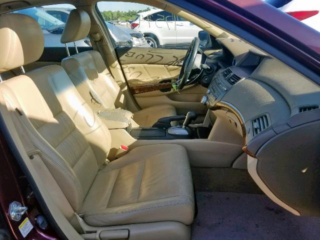 JHMCP26878C027058 - 2008 HONDA ACCORD EXL BURGUNDY photo 5