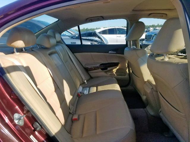 JHMCP26878C027058 - 2008 HONDA ACCORD EXL BURGUNDY photo 6