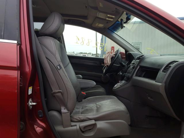 JHLRE38737C047143 - 2007 HONDA CR-V EXL RED photo 5