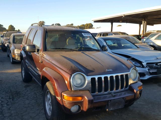 1J4GL58K84W144918 - 2004 JEEP LIBERTY LI PURPLE photo 1