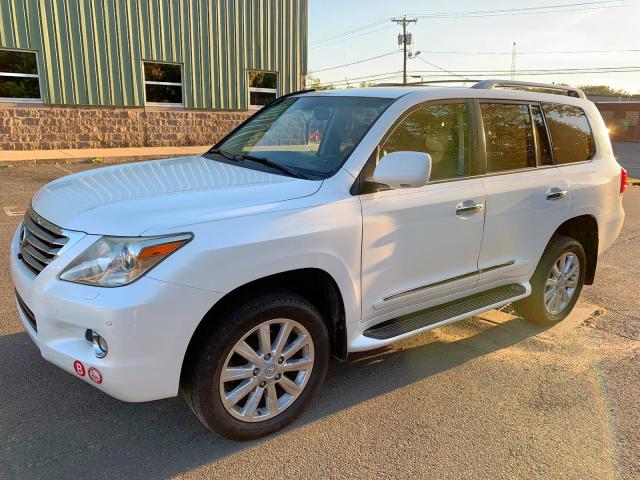 JTJHY00W584017989 - 2008 LEXUS LX 570 WHITE photo 3