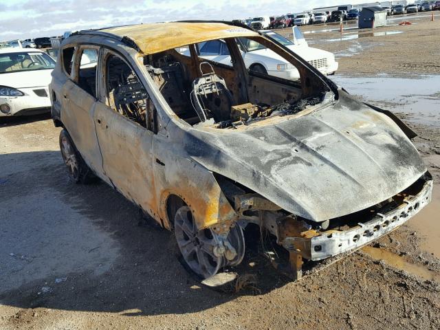 1FMCU0JXXEUB79379 - 2014 FORD ESCAPE TIT BURN photo 1