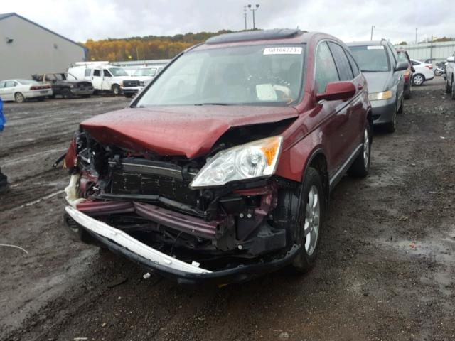 JHLRE487X7C112740 - 2007 HONDA CR-V EXL BURGUNDY photo 2